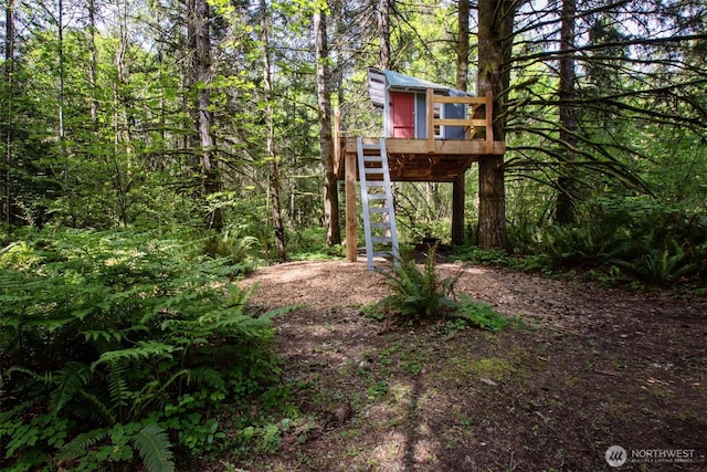 view of yard with a view of trees