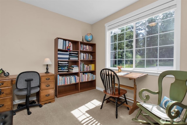 office with carpet floors and baseboards