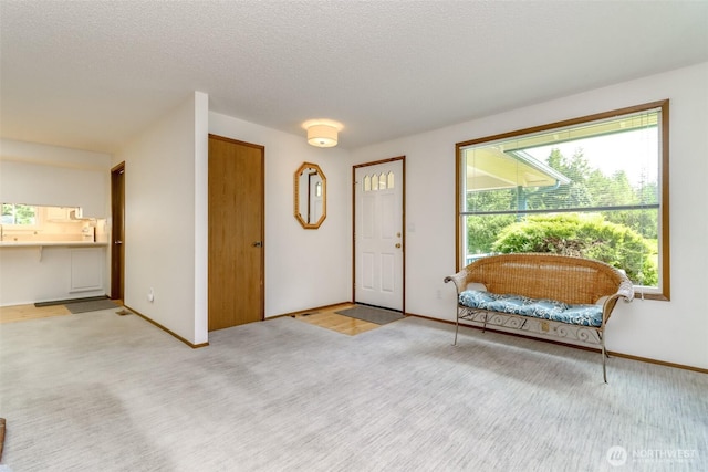 entrance foyer with plenty of natural light, light colored carpet, baseboards, and a textured ceiling