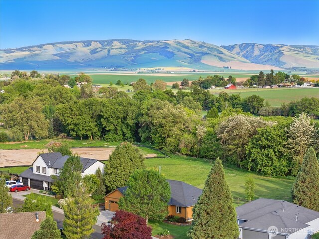 52 Buttonquail Ln, Walla Walla, WA 99362 - mountain view