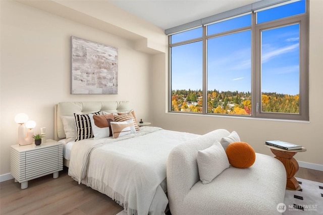 10232 NE 10th St Unit 506, Bellevue, WA 98004 - bedroom featuring wood finished floors and baseboards