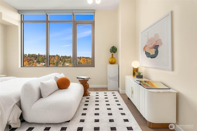 10232 NE 10th St Unit 506, Bellevue, WA 98004 - bedroom featuring baseboards