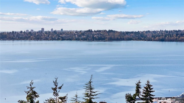 water view