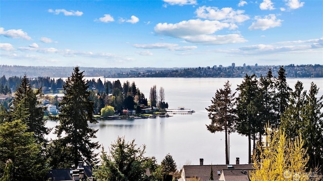 water view