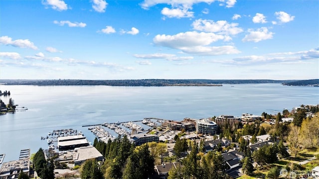 bird's eye view of a large body of water