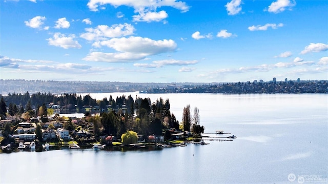 water view