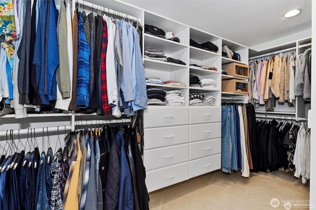 walk in closet featuring carpet flooring