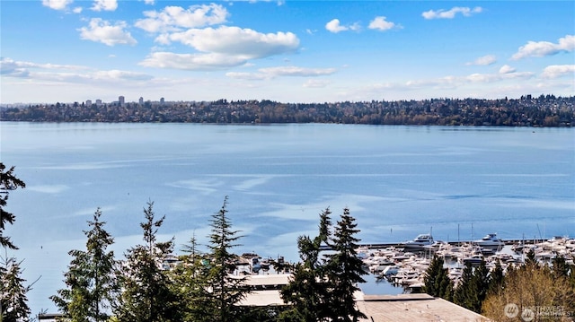 water view