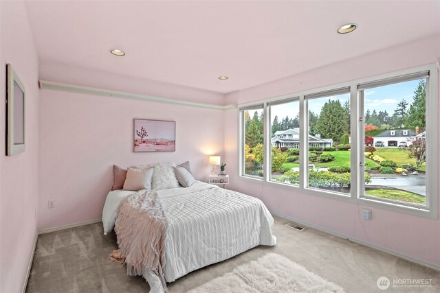 11505 134th Avenue Ct E, Puyallup, WA 98374 - photo 28