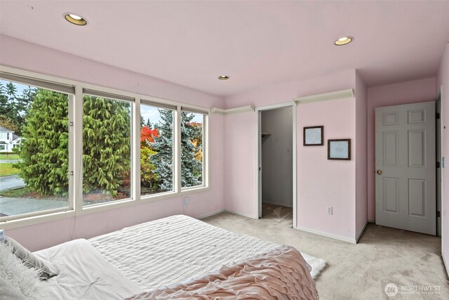 11505 134th Avenue Ct E, Puyallup, WA 98374 - photo 29