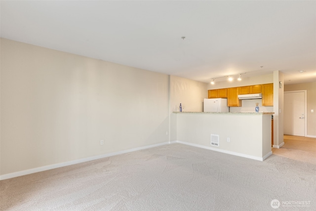 303 23rd Ave S Unit 308, Seattle, WA 98144 - unfurnished living room with rail lighting, light colored carpet, and baseboards