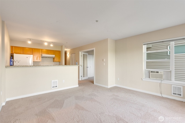 303 23rd Ave S Unit 308, Seattle, WA 98144 - unfurnished living room with light carpet, baseboards, cooling unit, and track lighting