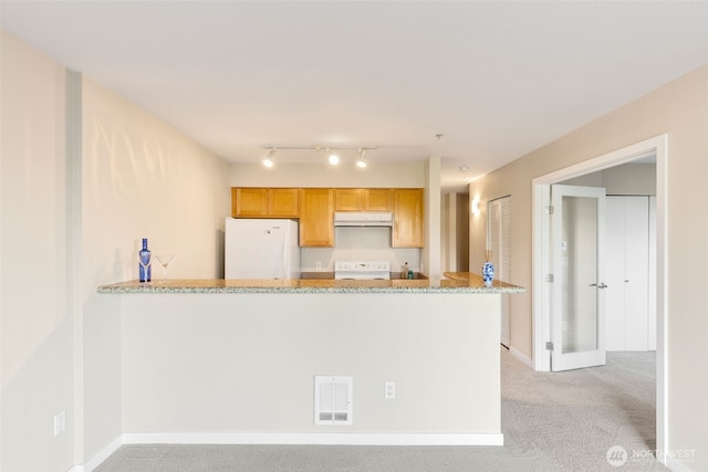 303 23rd Ave S Unit 308, Seattle, WA 98144 - kitchen featuring stove, freestanding refrigerator, under cabinet range hood, light colored carpet, and light stone counters