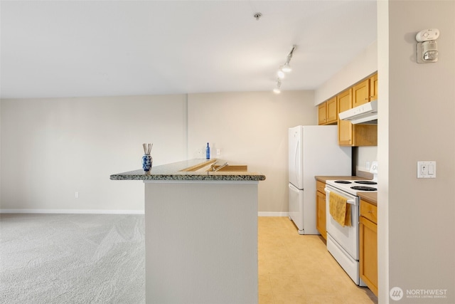 303 23rd Ave S Unit 308, Seattle, WA 98144 - kitchen featuring white appliances, under cabinet range hood, a peninsula, track lighting, and baseboards