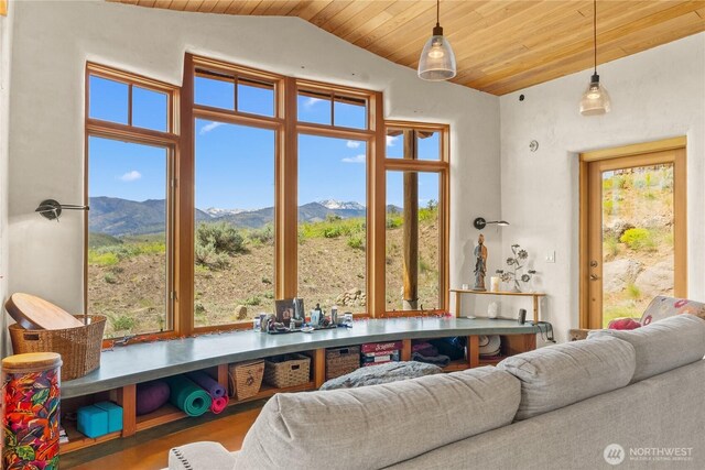 3B Johnny Haase Ln, Winthrop, WA 98862 - living area featuring wooden ceiling, a mountain view, vaulted ceiling, and wood finished floors