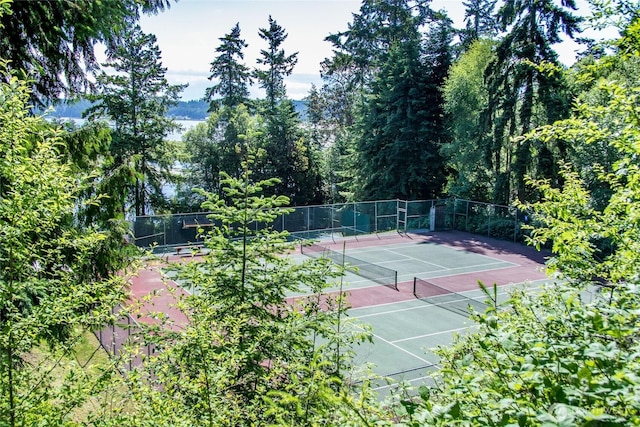 30 Hemlock Ct, Port Townsend, WA 98368 - view of tennis court