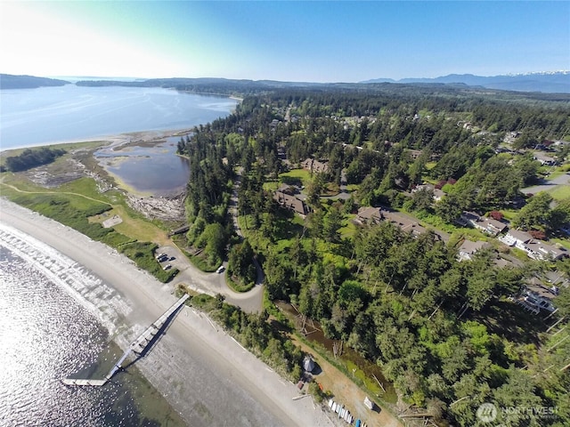 30 Hemlock Ct, Port Townsend, WA 98368 - aerial view of property's location with a large body of water and a forest