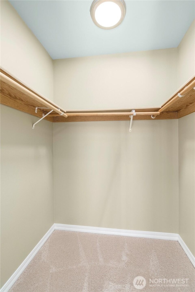 12408 1st Ave SW, Seattle, WA 98146 - walk in closet with carpet floors