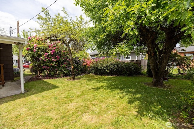 1122 G St, Centralia, WA 98531 - view of yard