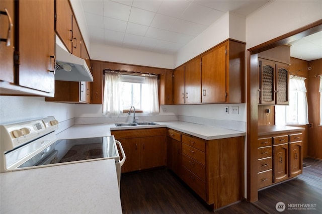 1122 G St, Centralia, WA 98531 - kitchen with under cabinet range hood, a sink, brown cabinetry, and white electric range oven