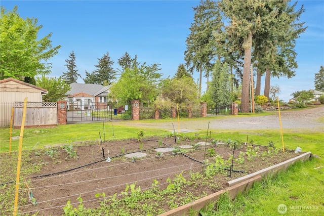 31637 107th Ave SE, Auburn, WA 98092 - view of yard with a garden