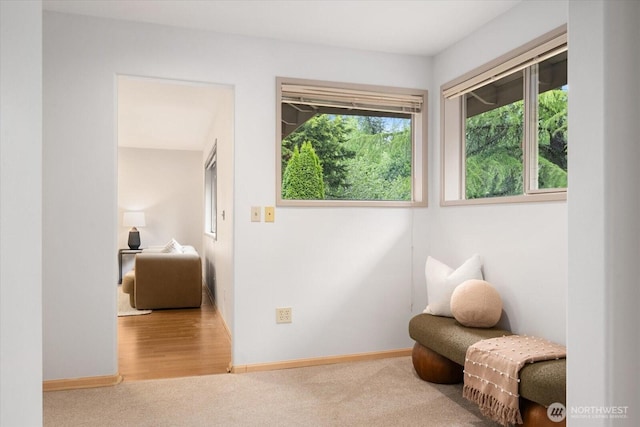 4102 205th Ave SE, Sammamish, WA 98075 - living area featuring carpet floors and baseboards
