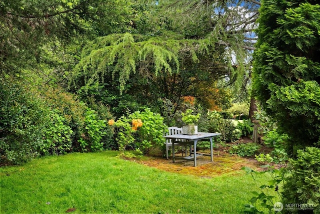 4102 205th Ave SE, Sammamish, WA 98075 - view of grassy yard
