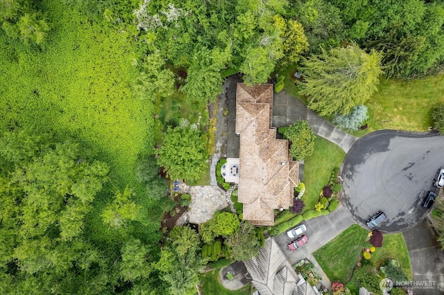 4102 205th Ave SE, Sammamish, WA 98075 - bird's eye view