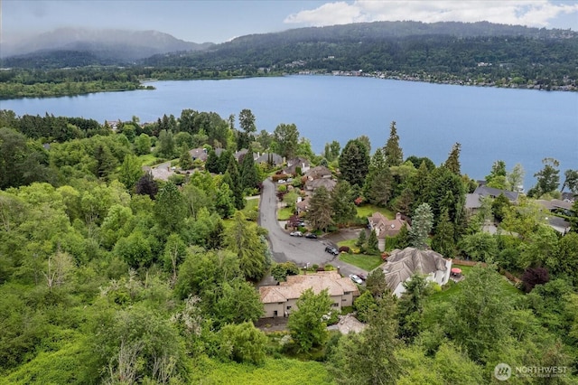 4102 205th Ave SE, Sammamish, WA 98075 - aerial view of property's location with a heavily wooded area and a nearby body of water