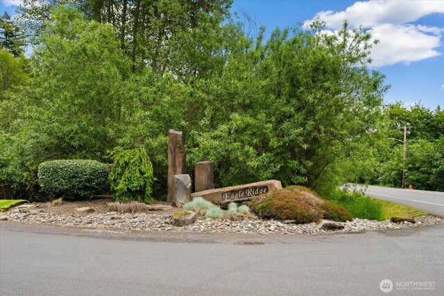 4102 205th Ave SE, Sammamish, WA 98075 - view of community sign