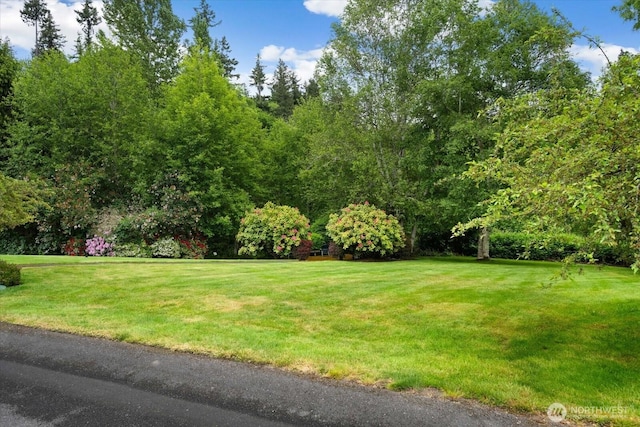4102 205th Ave SE, Sammamish, WA 98075 - view of green lawn