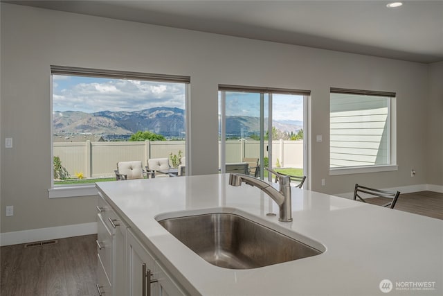 28 S Millbrook, East Wenatchee, WA 98802 - kitchen with a sink, dark wood-style flooring, a mountain view, light countertops, and recessed lighting