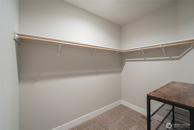 28 S Millbrook, East Wenatchee, WA 98802 - walk in closet with carpet