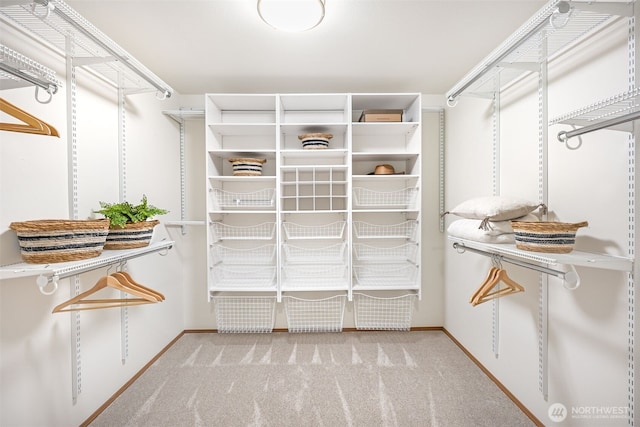 14431 Cascade Dr SE, Snohomish, WA 98296 - walk in closet with carpet flooring