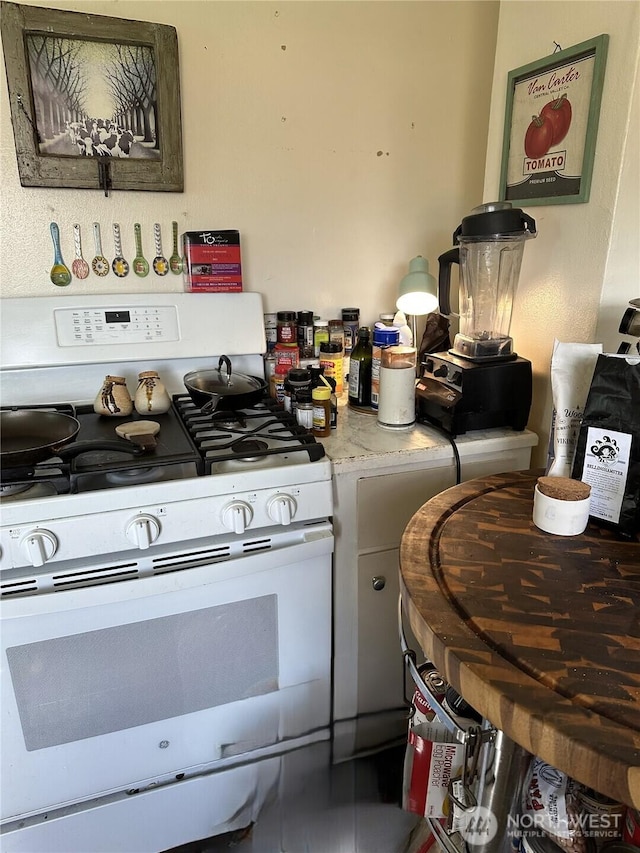 1205 E Maple St, Bellingham, WA 98225 - kitchen with white gas range and light countertops