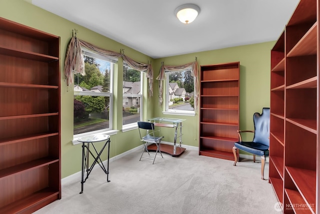 sitting room with carpet and baseboards