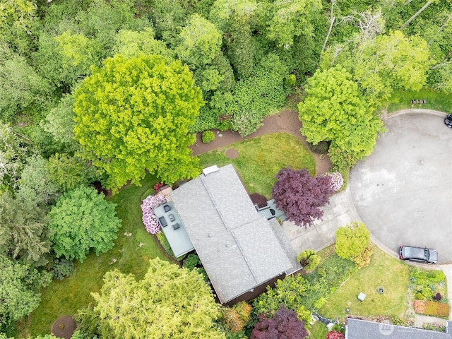 drone / aerial view