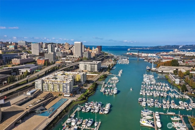1705 Dock St Unit 520, Tacoma, WA 98402 - view of urban area with numerous boat docks and a nearby body of water