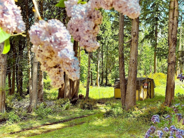 4507 Whiteman Rd SW, Longbranch, WA 98351 - view of yard with an outdoor structure and a shed