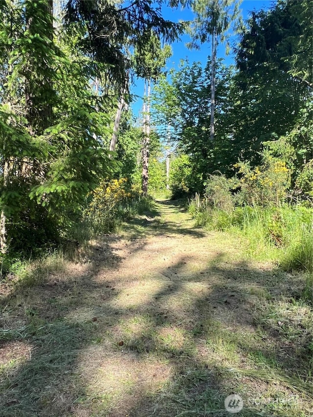 4507 Whiteman Rd SW, Longbranch, WA 98351 - view of undeveloped land