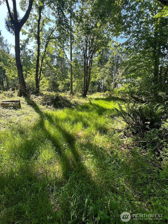 4507 Whiteman Rd SW, Longbranch, WA 98351 - view of nature