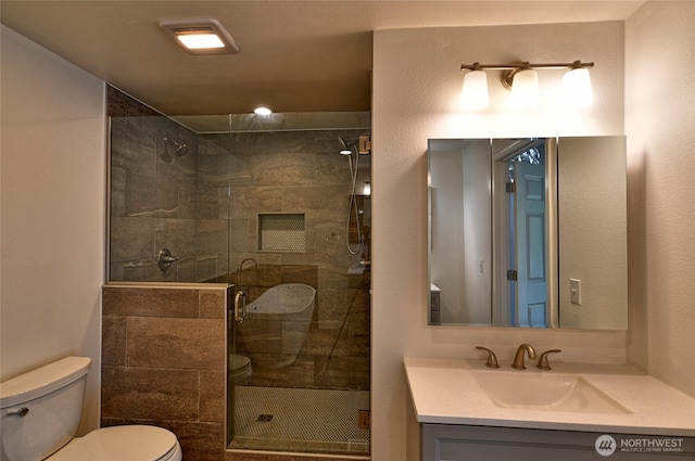 bathroom with toilet, a shower stall, and vanity