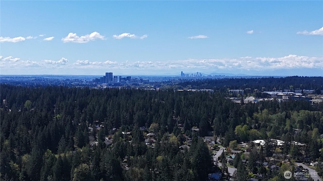 drone / aerial view of a forest