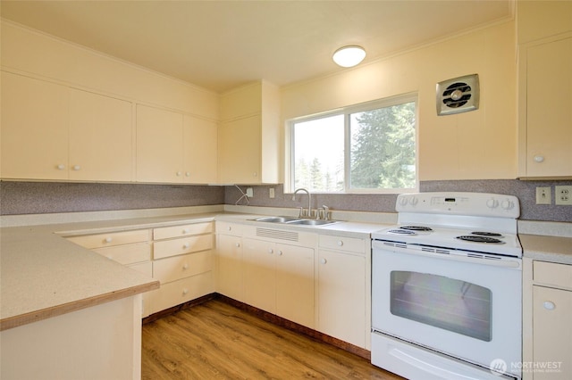 kitchen with white electric stove, a sink, light wood finished floors, ornamental molding, and light countertops