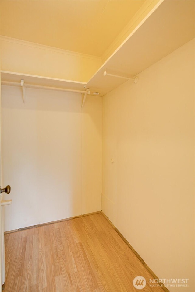 walk in closet with light wood finished floors