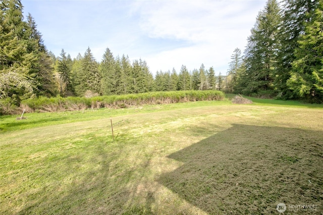 view of green lawn