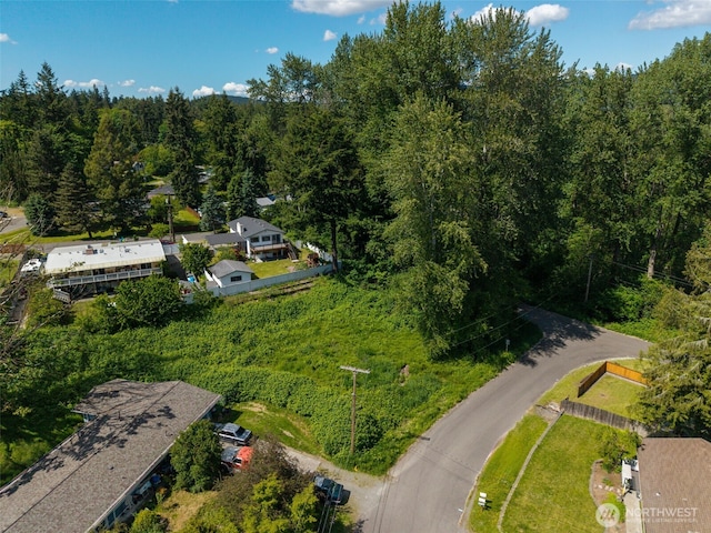 130XX 163rd Ave SE, Renton, WA 98059