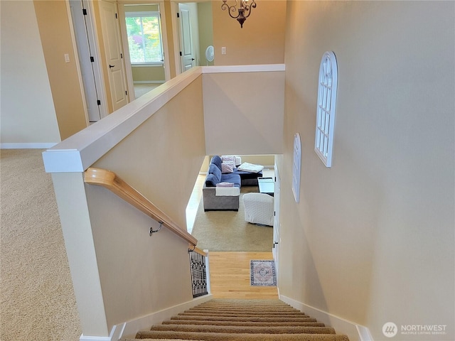 stairs featuring carpet and baseboards