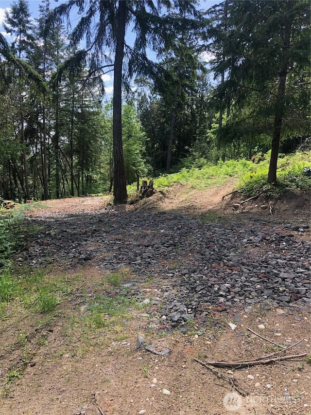 11415 189th Ave NW, Vaughn, WA 98329