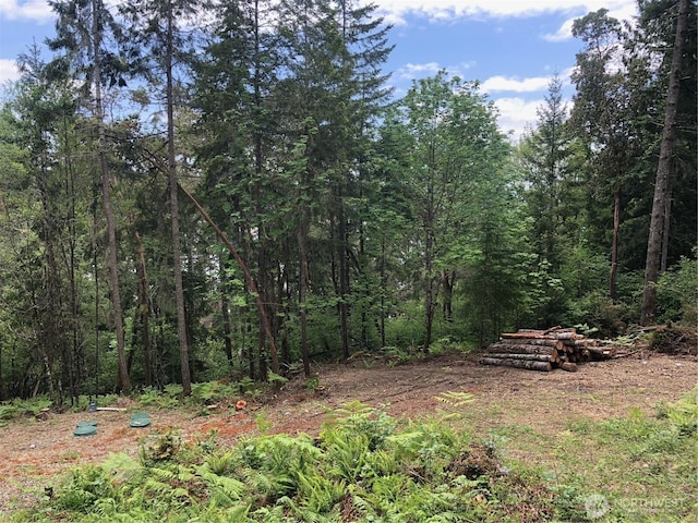 11415 189th Ave NW, Vaughn, WA 98329